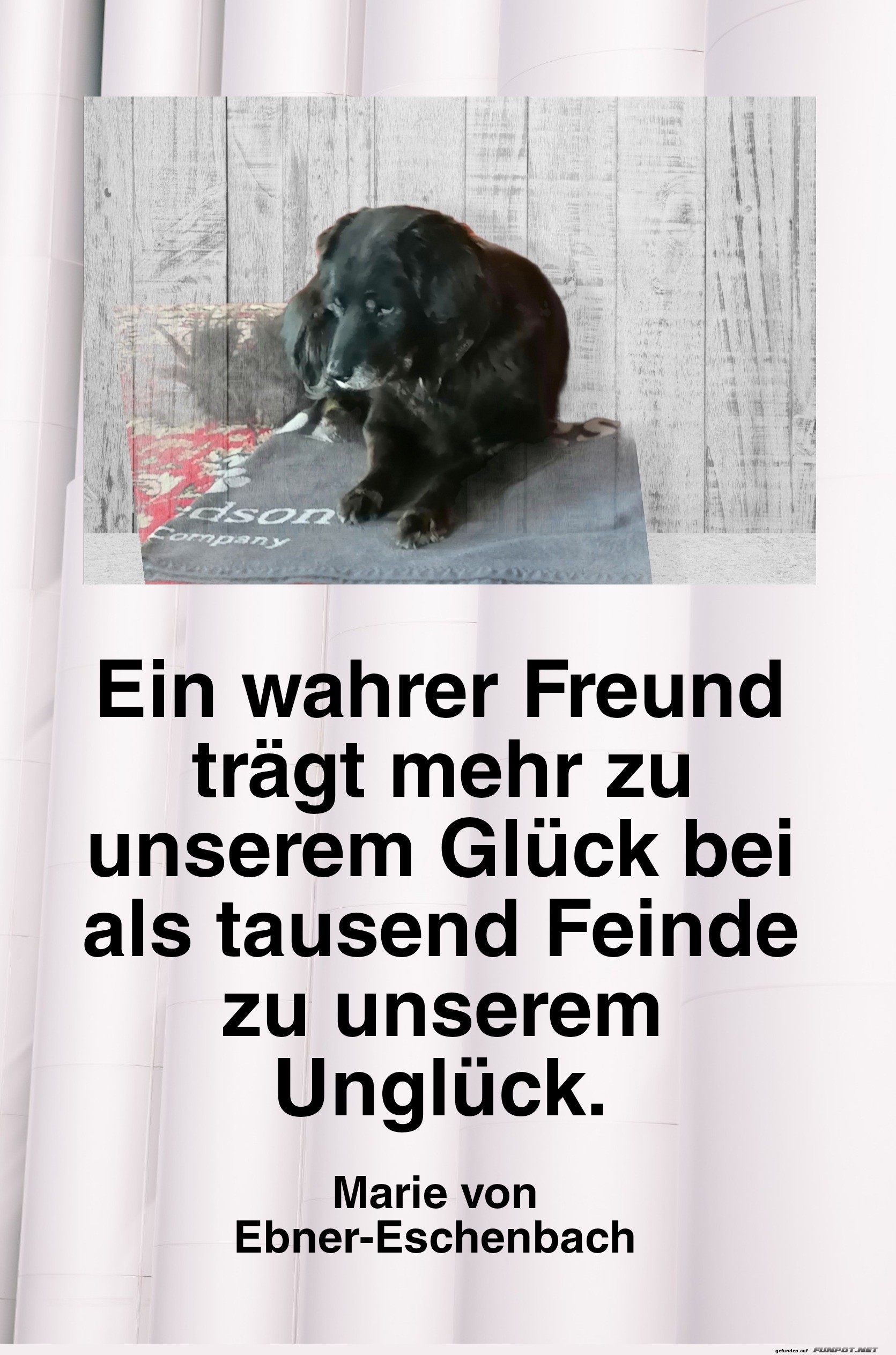 ein wahrer freund trgt