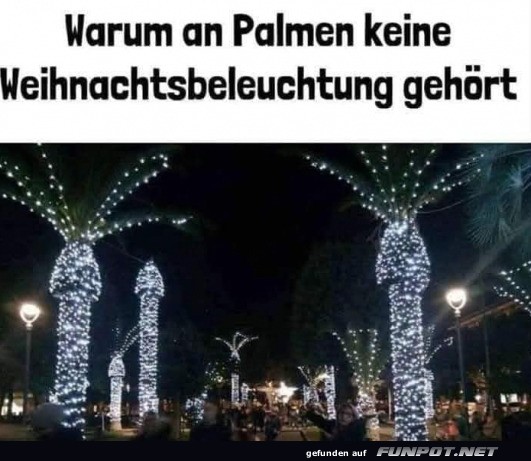 Palmen mit Weihnachtsbeleuchtung