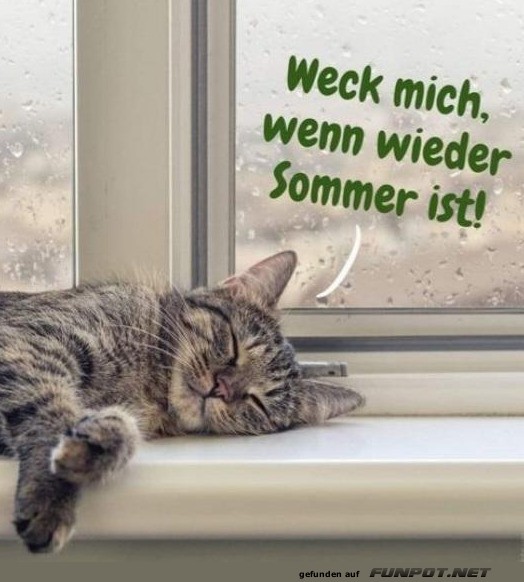 Weck mich wenn Sommer ist