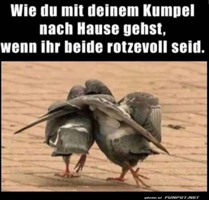 Du und dein Kumpel