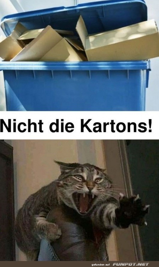 Nicht die Kartons