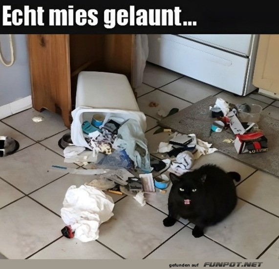 Schlecht gelaunt