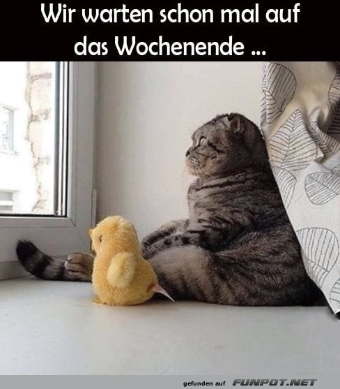 Warten aufs Wochenende