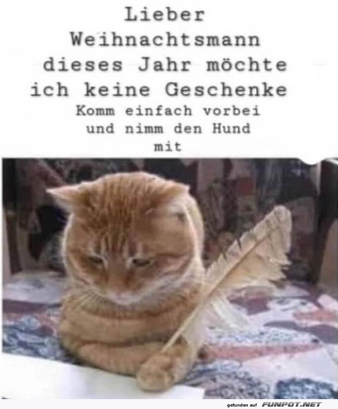 Was sich die Katze wnscht