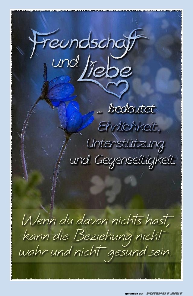 Freundschaft und Liebe