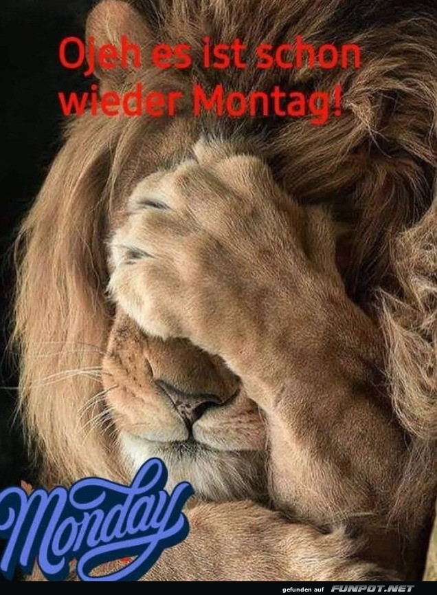 Schon wieder Montag