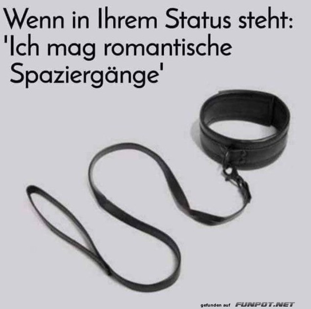 witzige Bilder aus verschiedenen Blogs