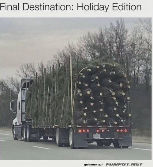 Final Destination