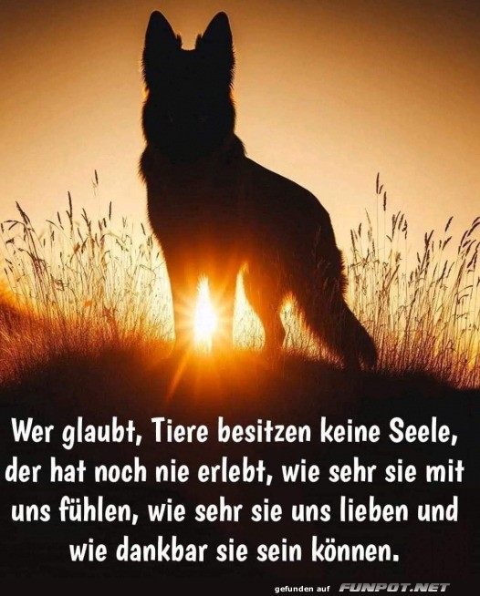 Tiere besitzen eine Seele