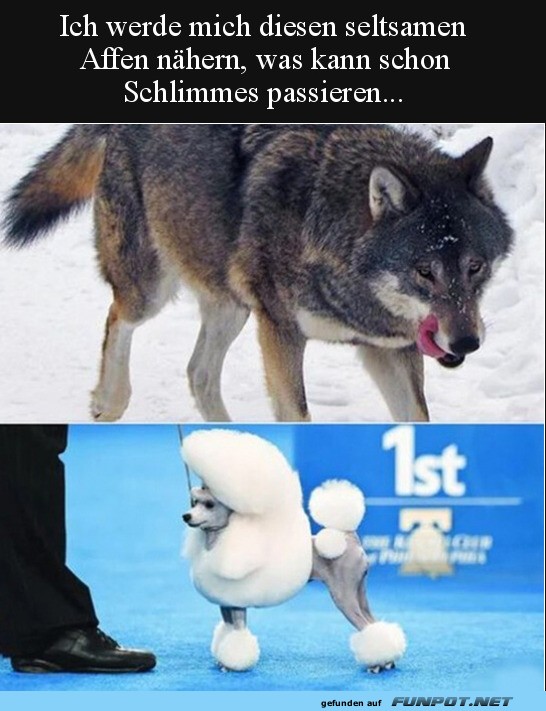 Was kann schon Schlimmes passieren