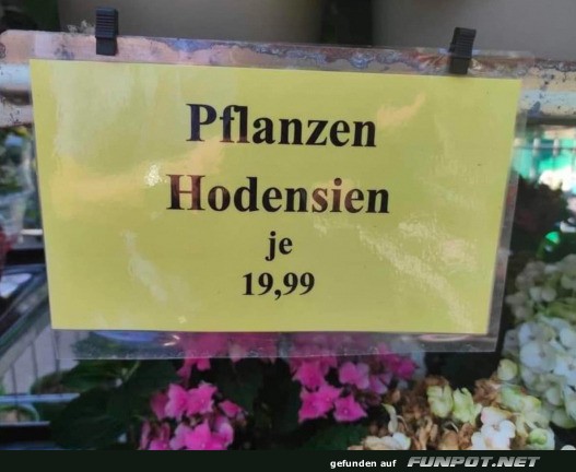 Komische Pflanzen