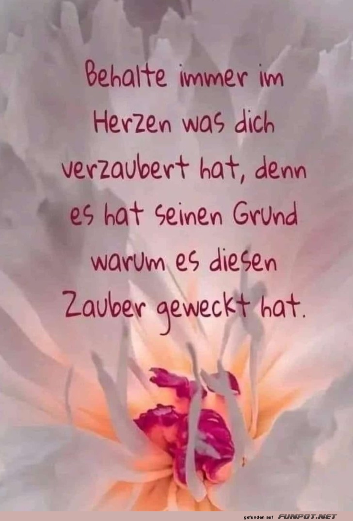 Was dich verzaubert