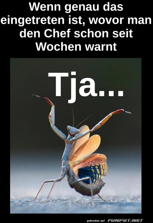 Tja