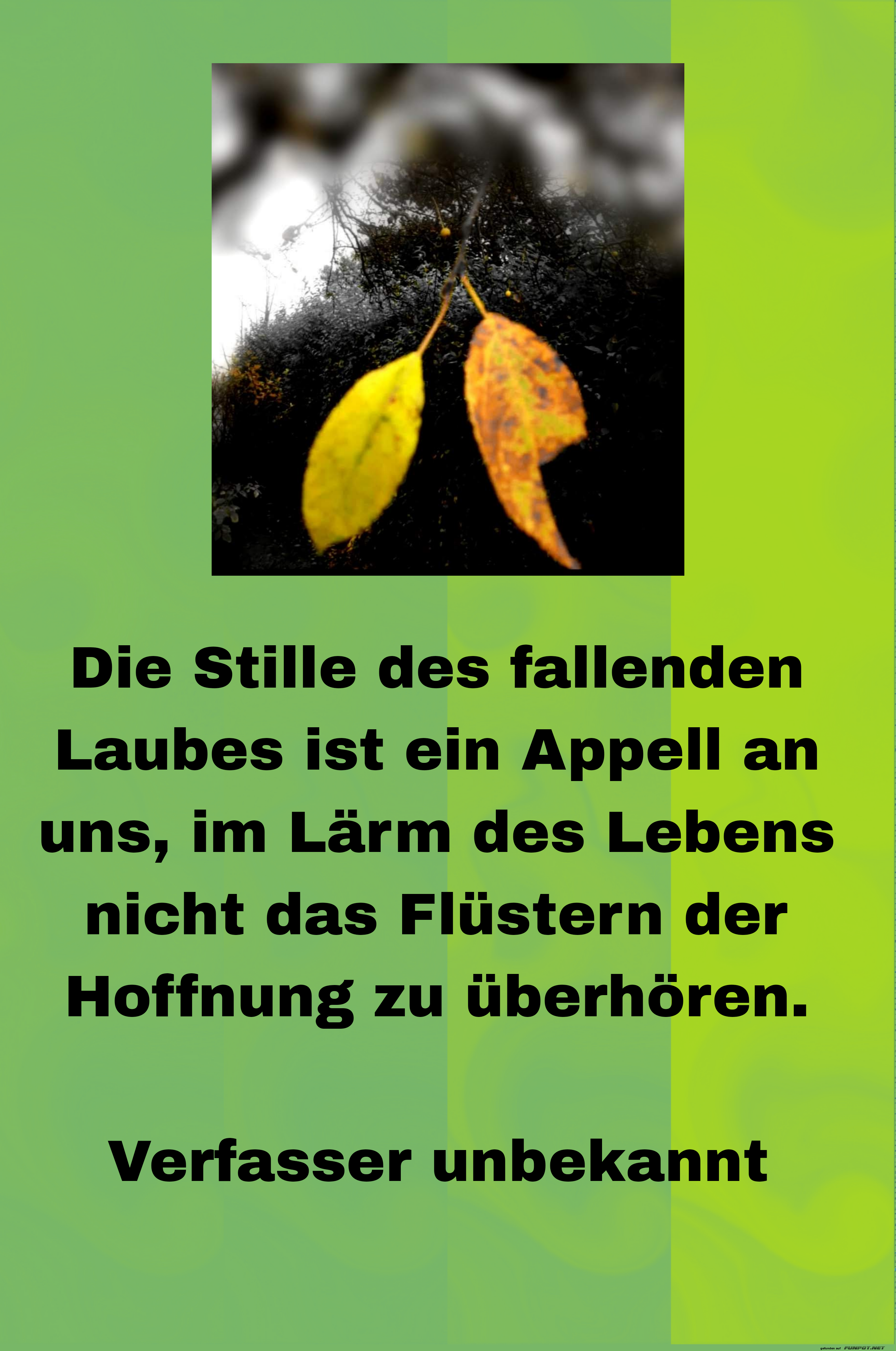 die stille des fallenden laubes