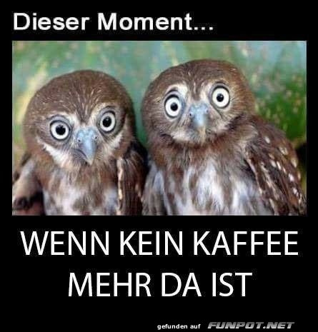 Dieser Moment