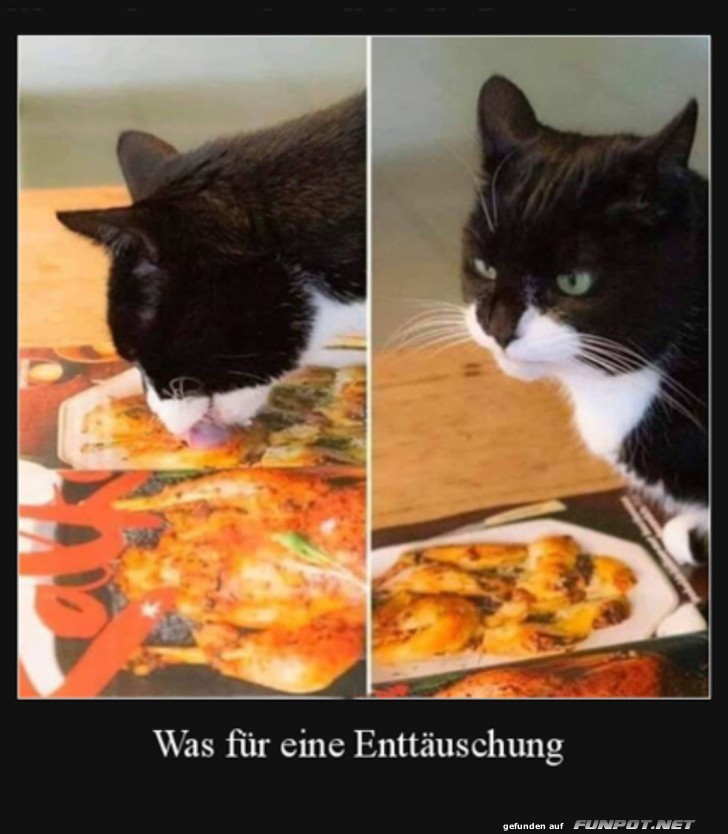 Welche Enttuschung