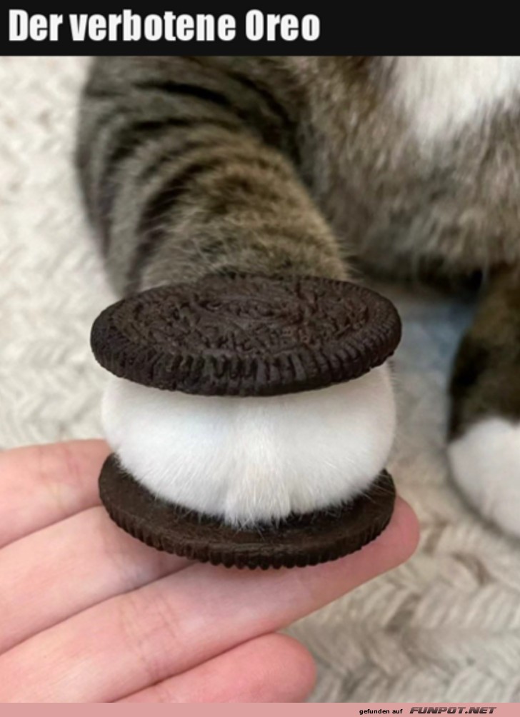 Der verbotene Oreo