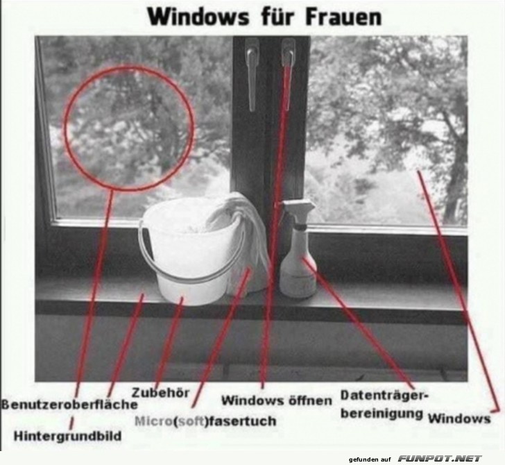 Windows fr Frauen