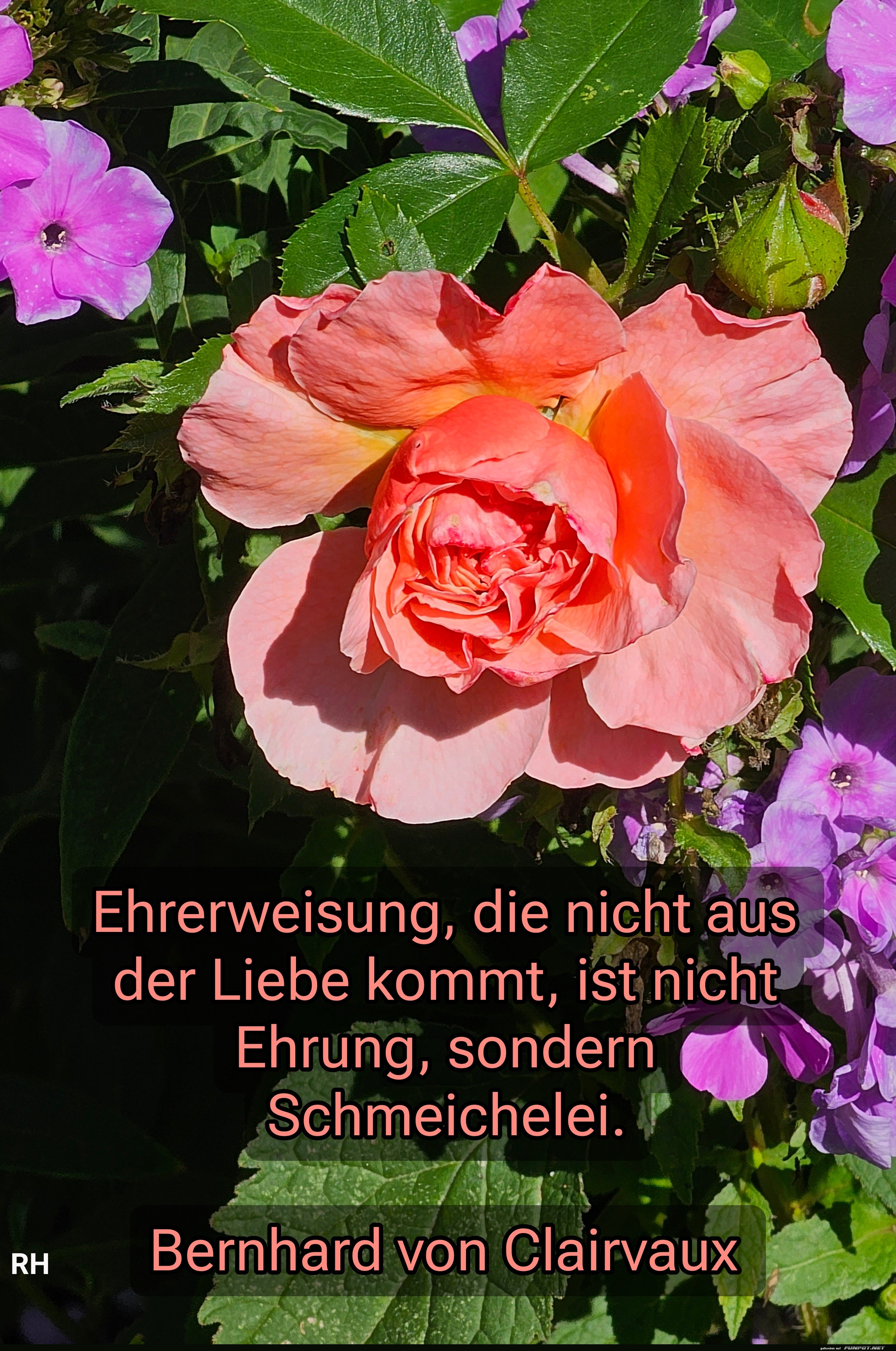 ehrerweisung, die nicht aus der liebe