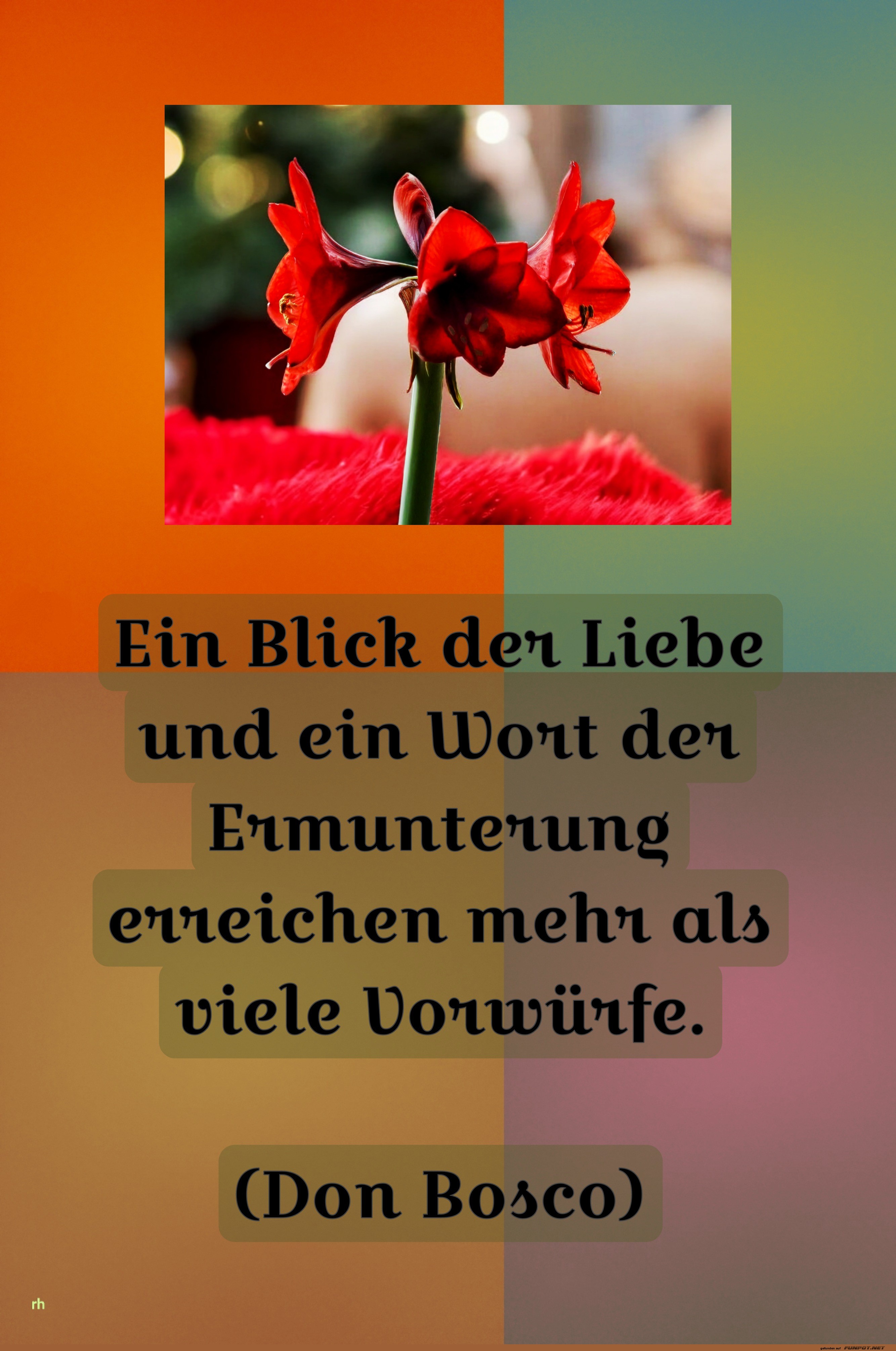 ein blick der liebe