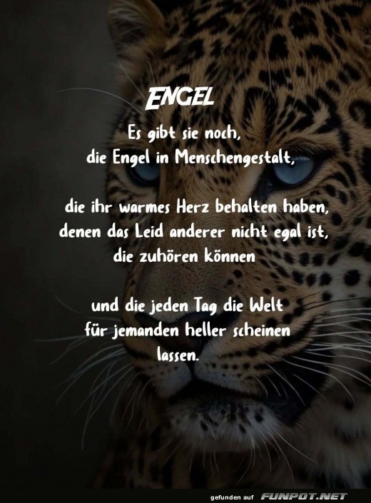 Engel