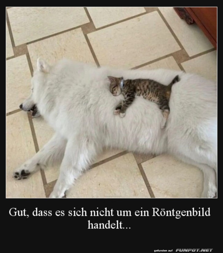 Kein Rntgenbild