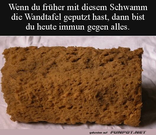 Dieser Schwamm