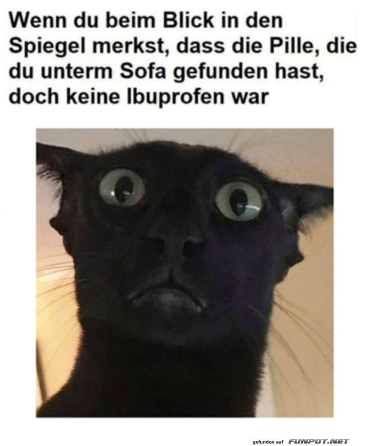 Das war kein Ibu