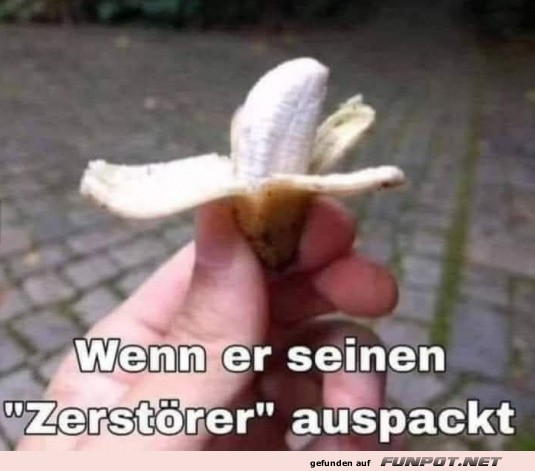 Der Zerstrer