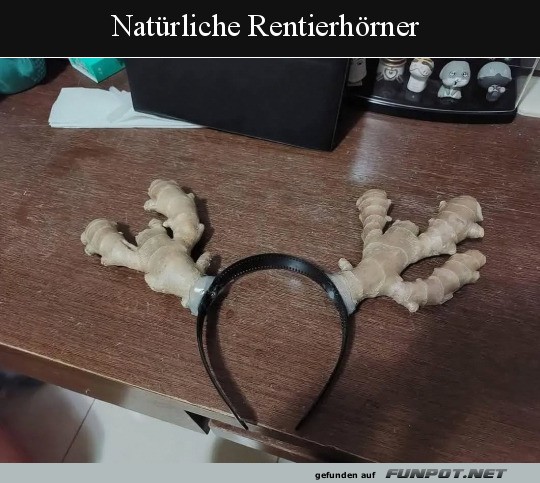 Natrliche Rentierhrner