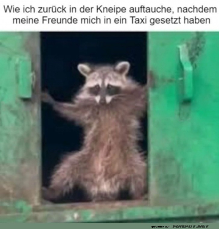 Da bin ich wieder