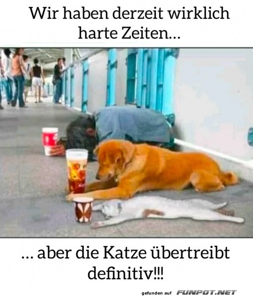 Harte Zeiten