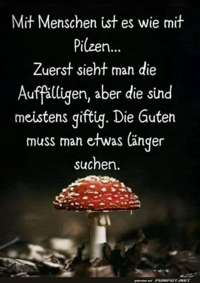 Wie mit Pilzen