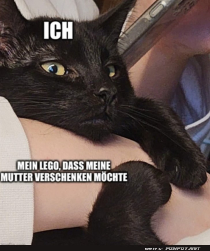 Mein Lego bleibt hier