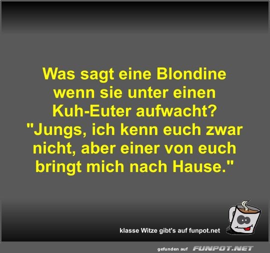 Was sagt eine Blondine wenn sie unter einen Kuh-Euter...