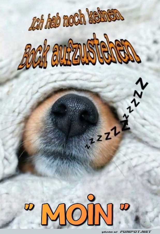 Guten Morgen