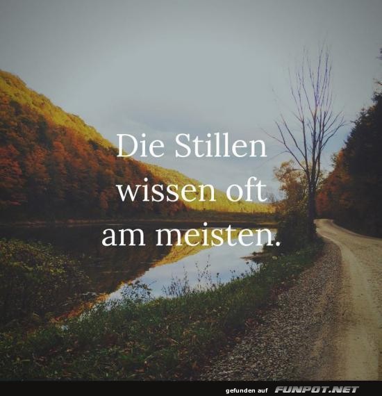 Die Stillen