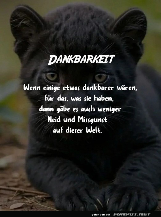 Dankbarkeit