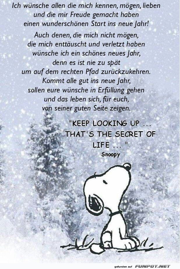 Ins neue jahr Ins neue jahr