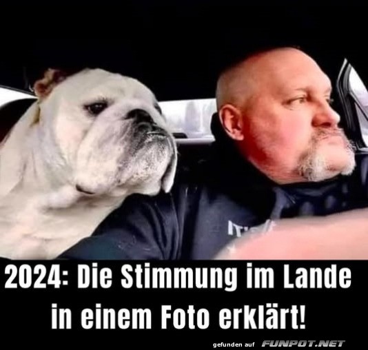 Die Stimmung 2024