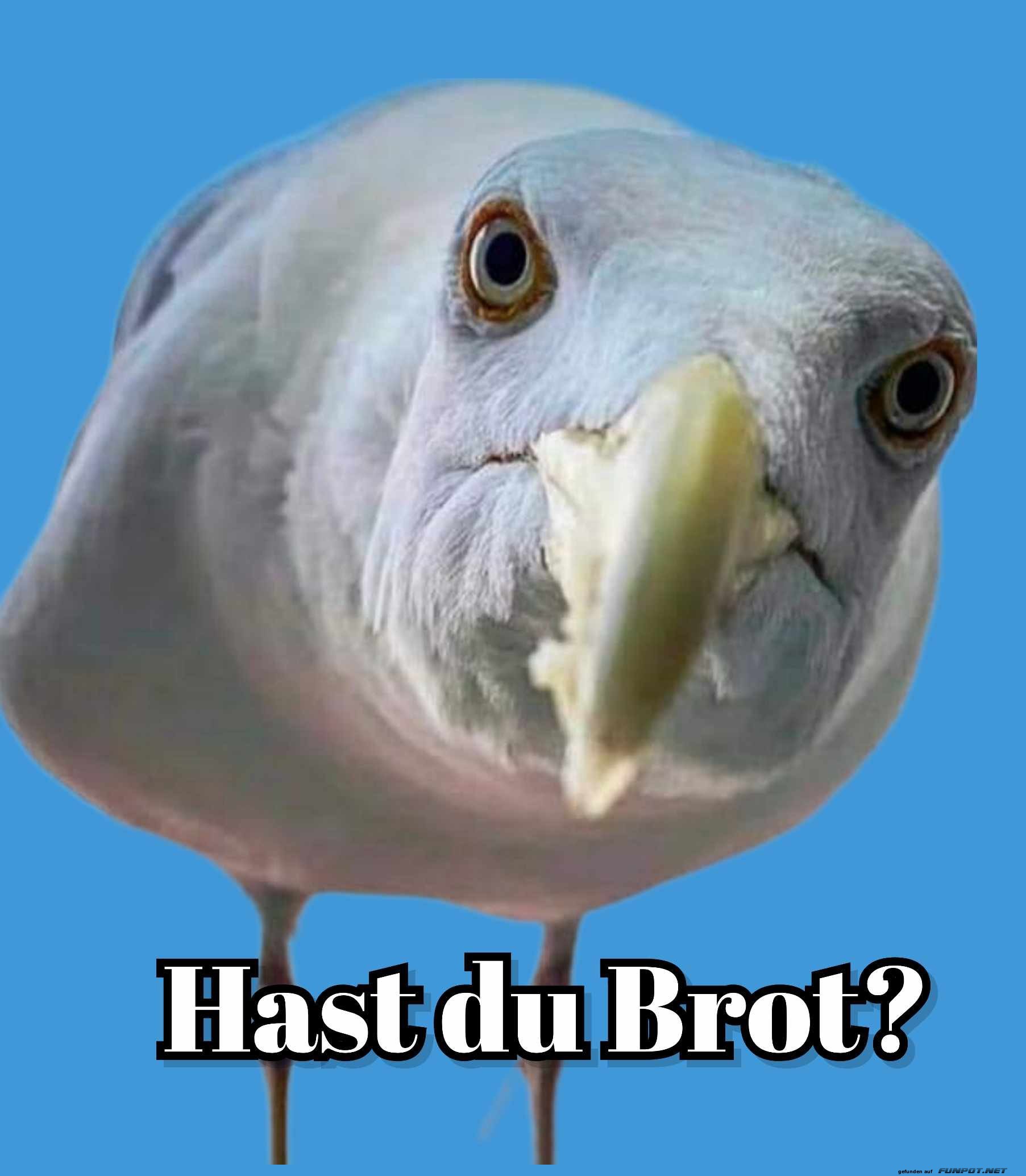 Hast du Brot?