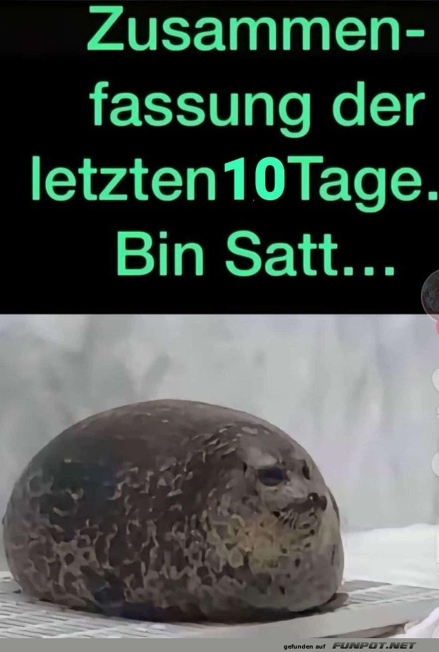 Bin satt