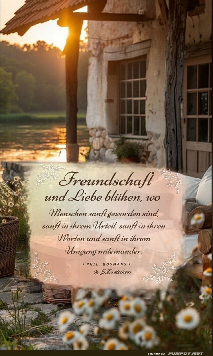 Freundschaft und Liebe