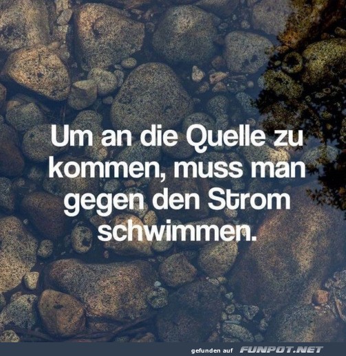 Gegen den Strom schwimmen