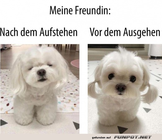 Meine Freundin