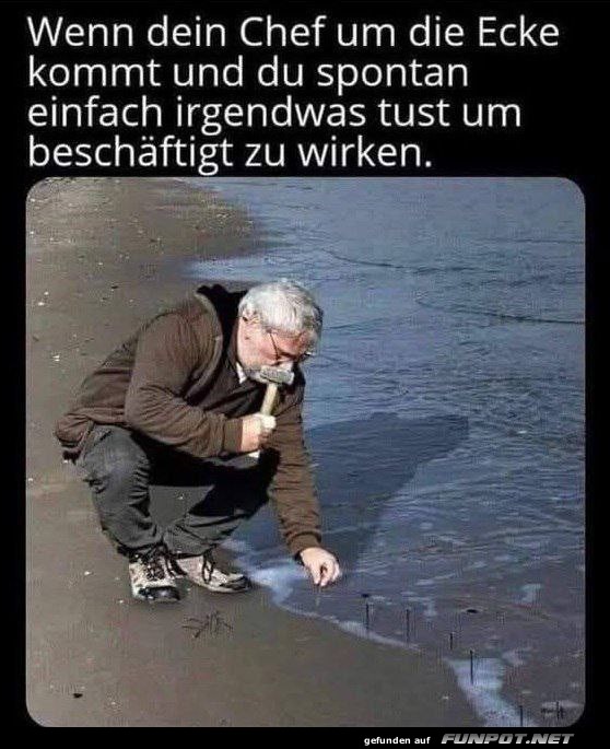 Beschftigt wirken