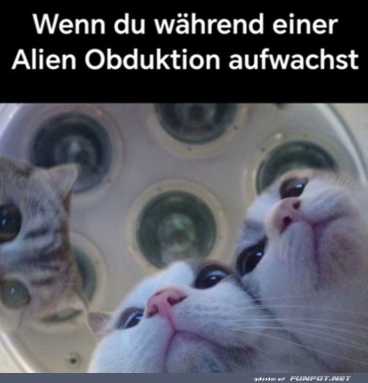 Alien-Obduktion