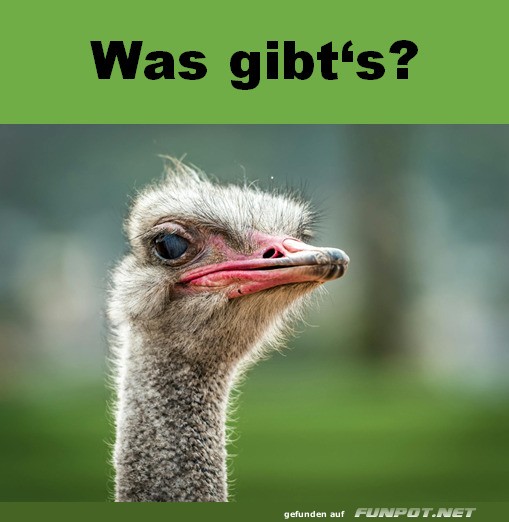 Was gibts?