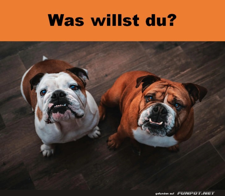 Was willst du?