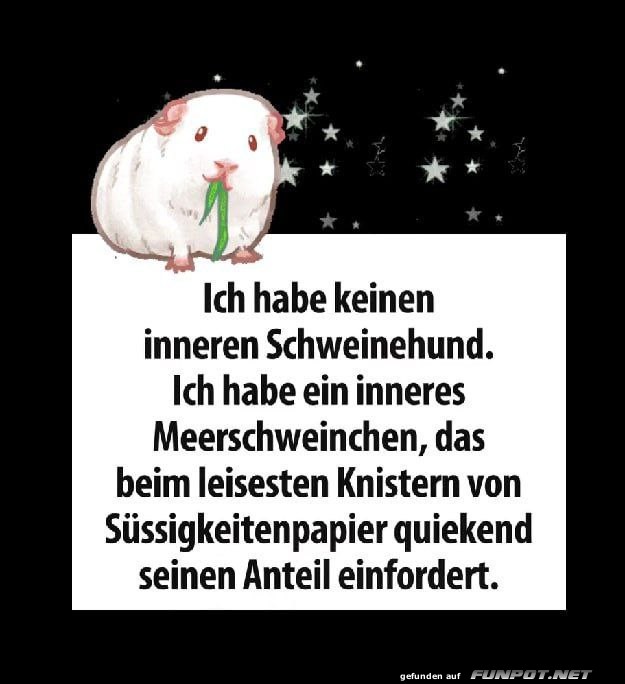 Ein inneres Meerschweinchen